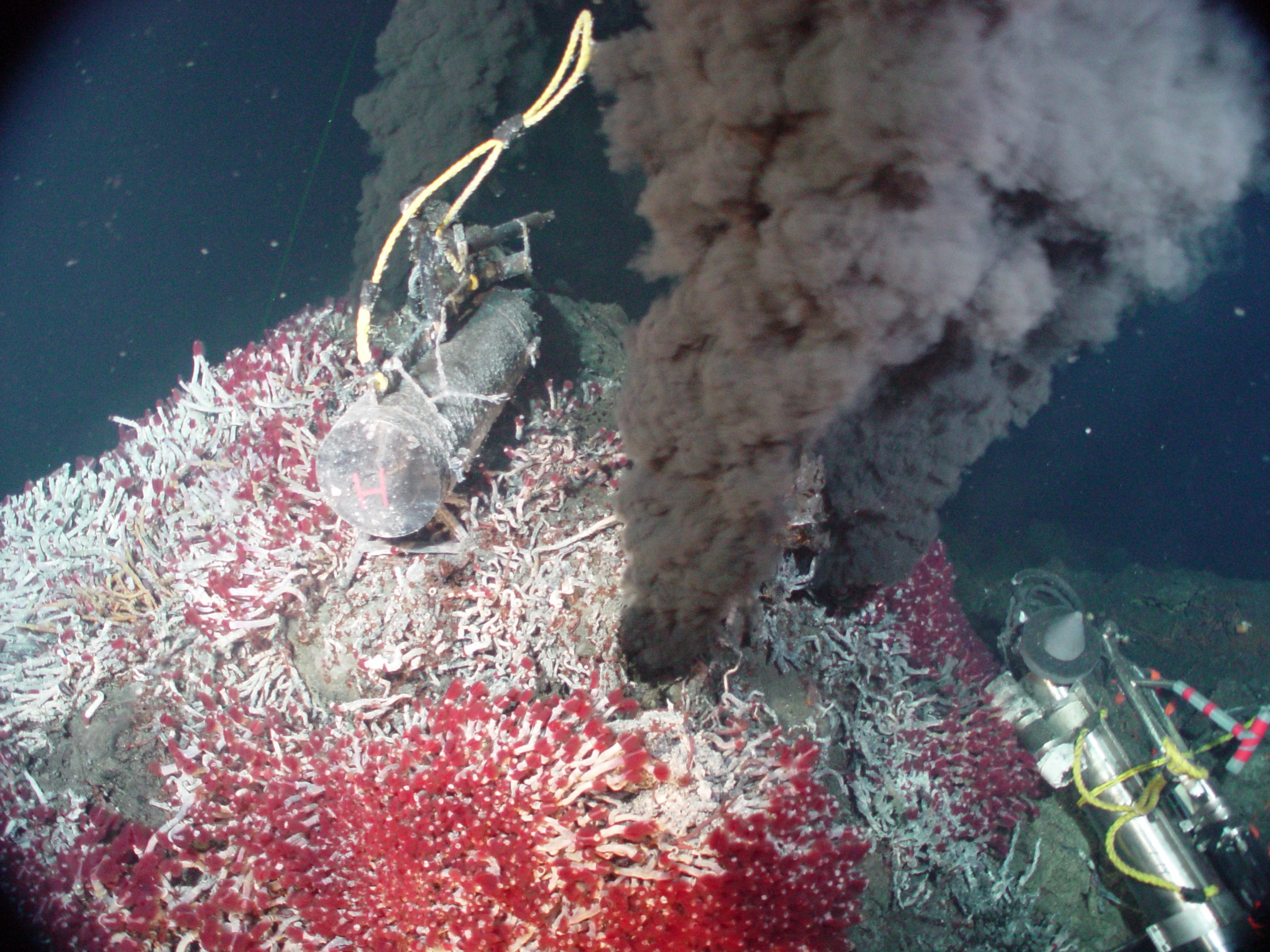 Yaşamın başladığı alanların günümüzdeki temsilcileri olan hidrotermal bacalar
