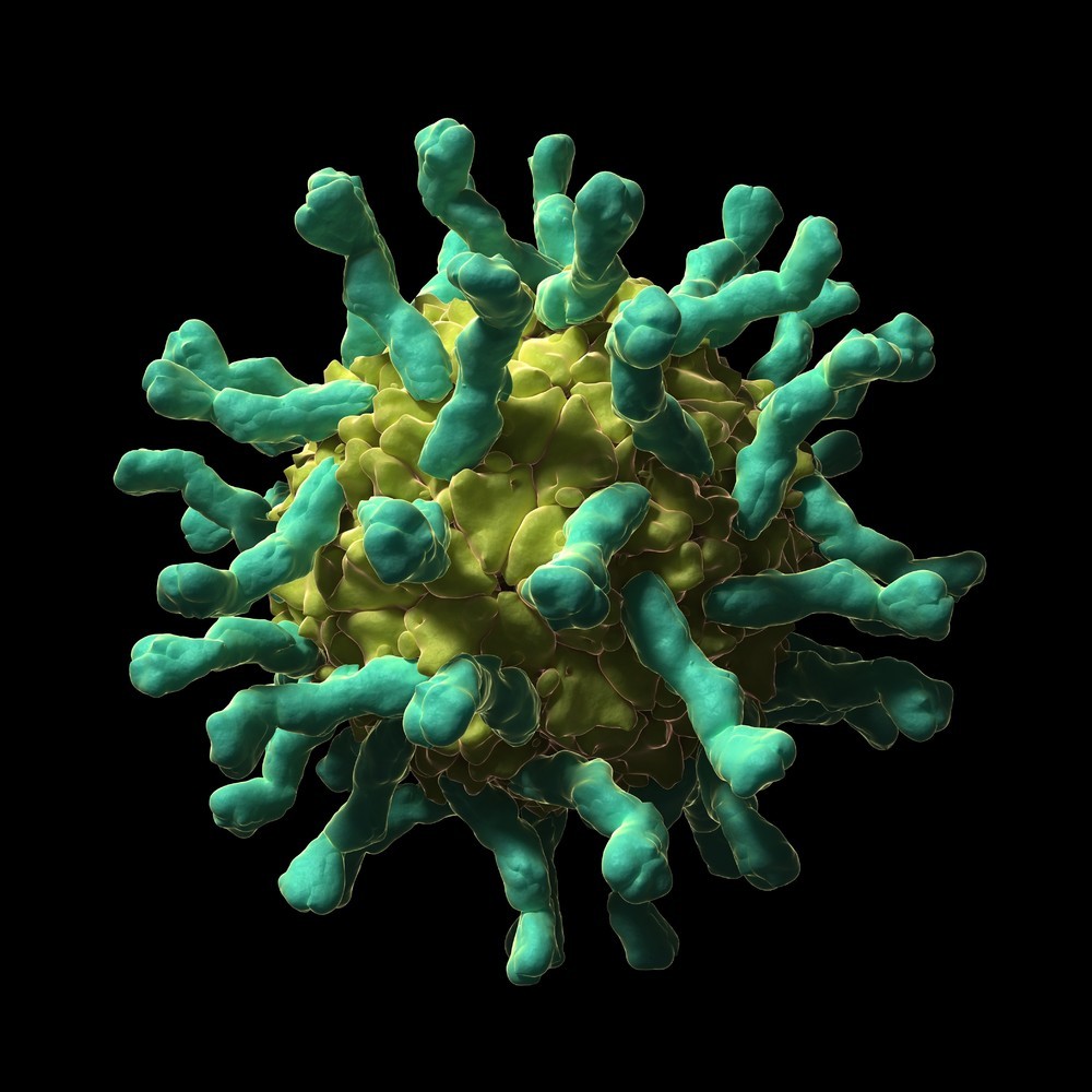 Çocuk Felci Virüsü (Poliovirus)