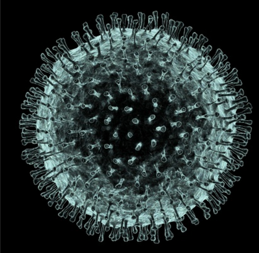Coronavirus (SARS Virüsü)