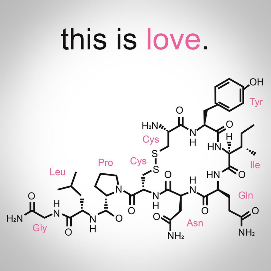 Oksitosin