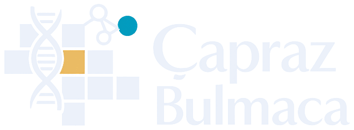 Çapraz Bulmaca