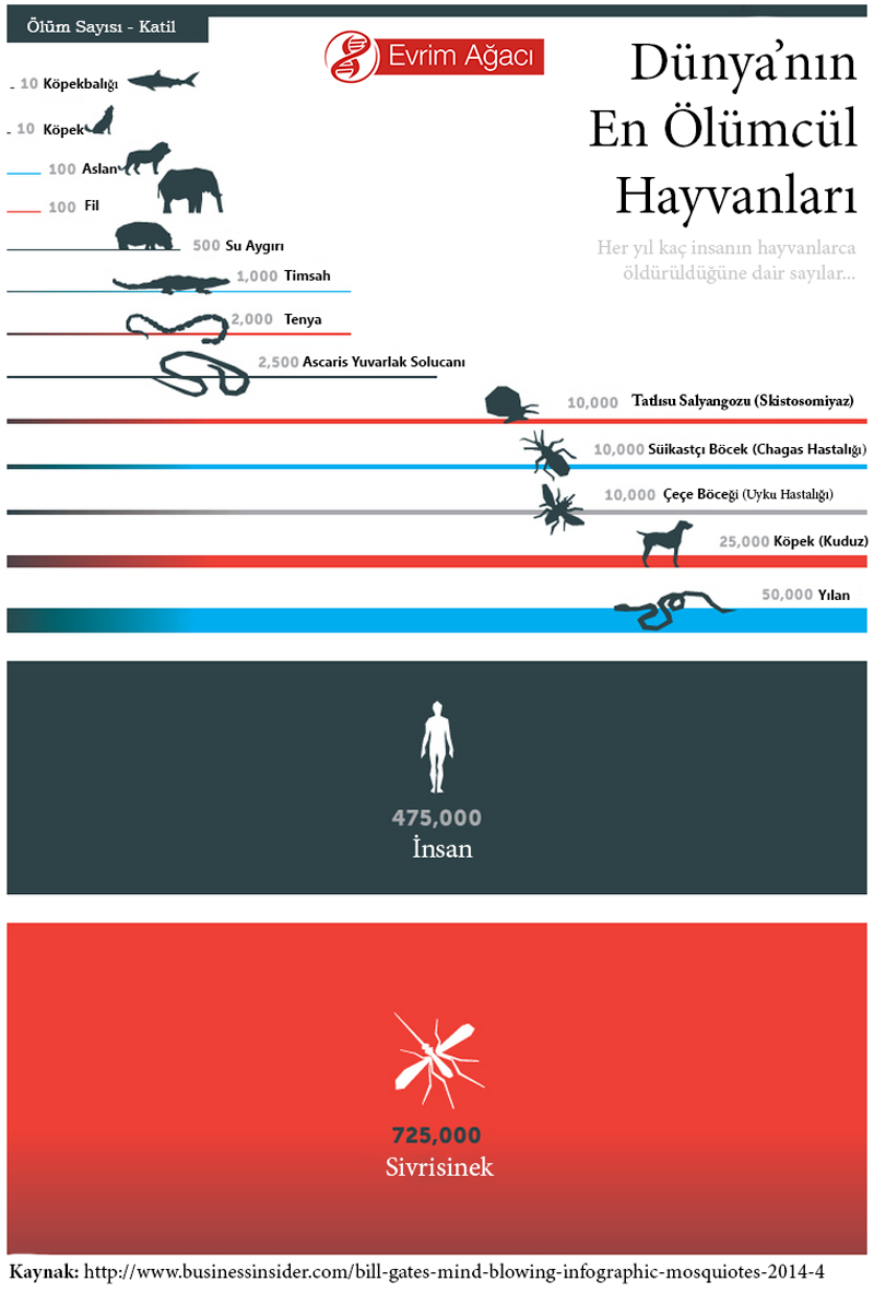 Grafikte, insanların ölümüne sebep olan hayvan türleri ve bunların kaç insanın ölümünden sorumlu olduğuna dair sayılar verilmektedir.