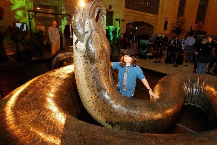 Bu görselde gördüğünüz, Smithsonian Müzesi'nde bulunan, yaşamış en büyük yılan türünün birebir maketi.