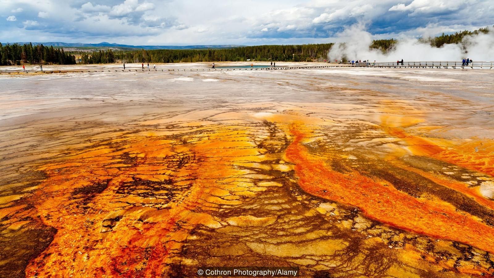 Belki de yaşam, ABD'deki Yellowstone Ulusal Parkı'nda bulunan bu volkanik gölet gibi bir yerde başlamıştı.