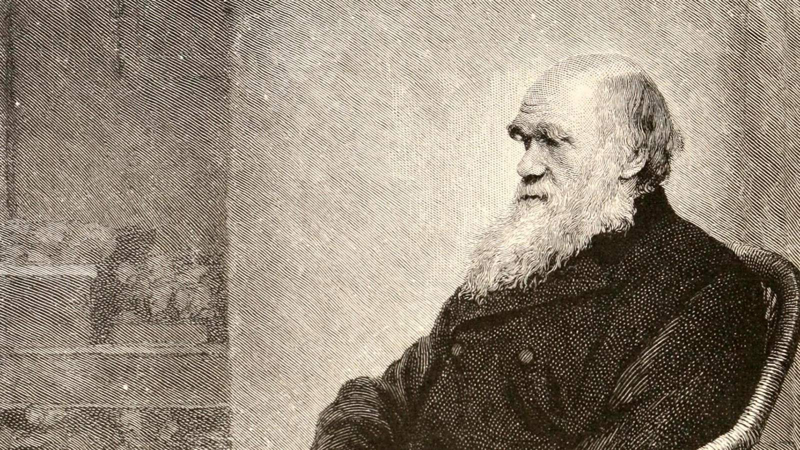 Charles Darwin, yaşamın basit bir canlıdan ve ortak bir kökenden geldiğini ispatlamıştır.